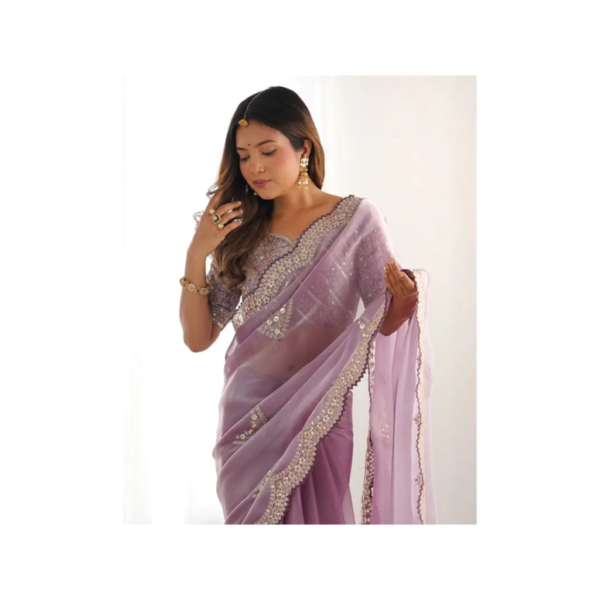 Satrani Organza Saree